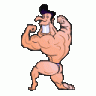 npcphi